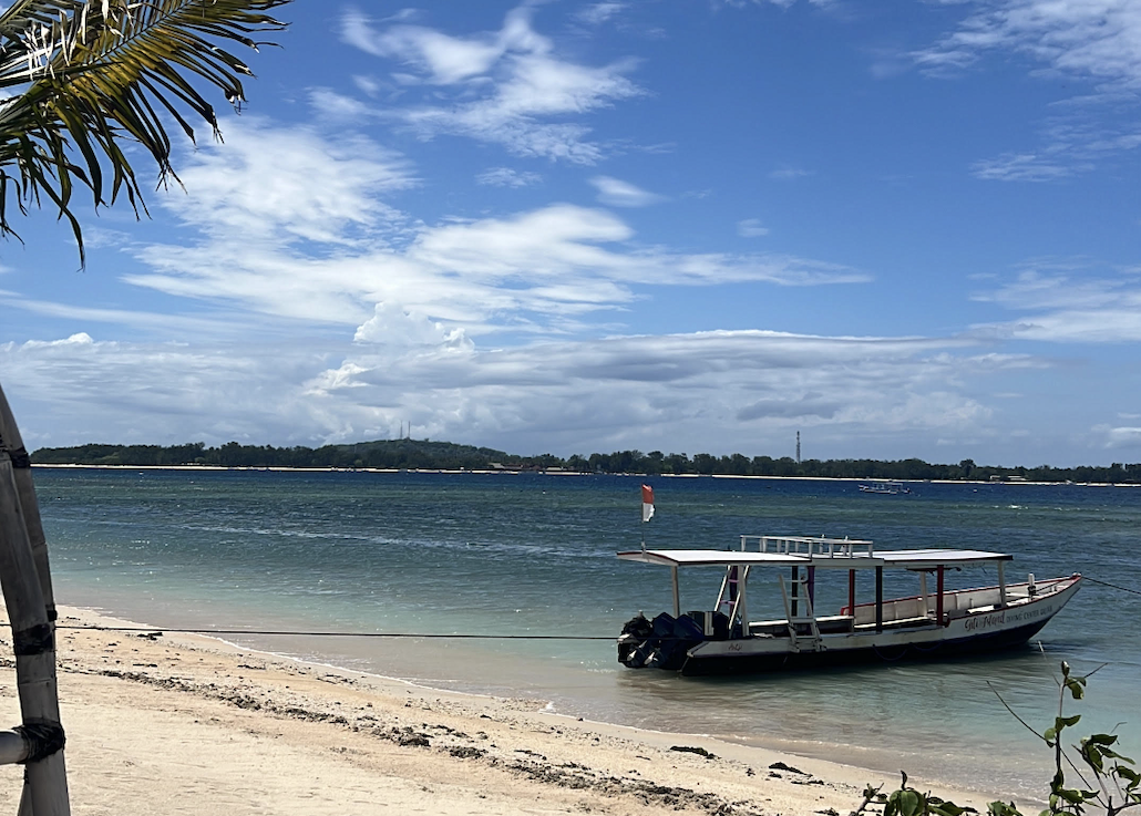 Heartful Christmas: Let’s Notice Miracles and Glimmers 🎄✨