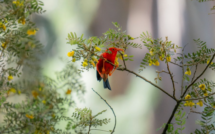 Nature Positive Practices