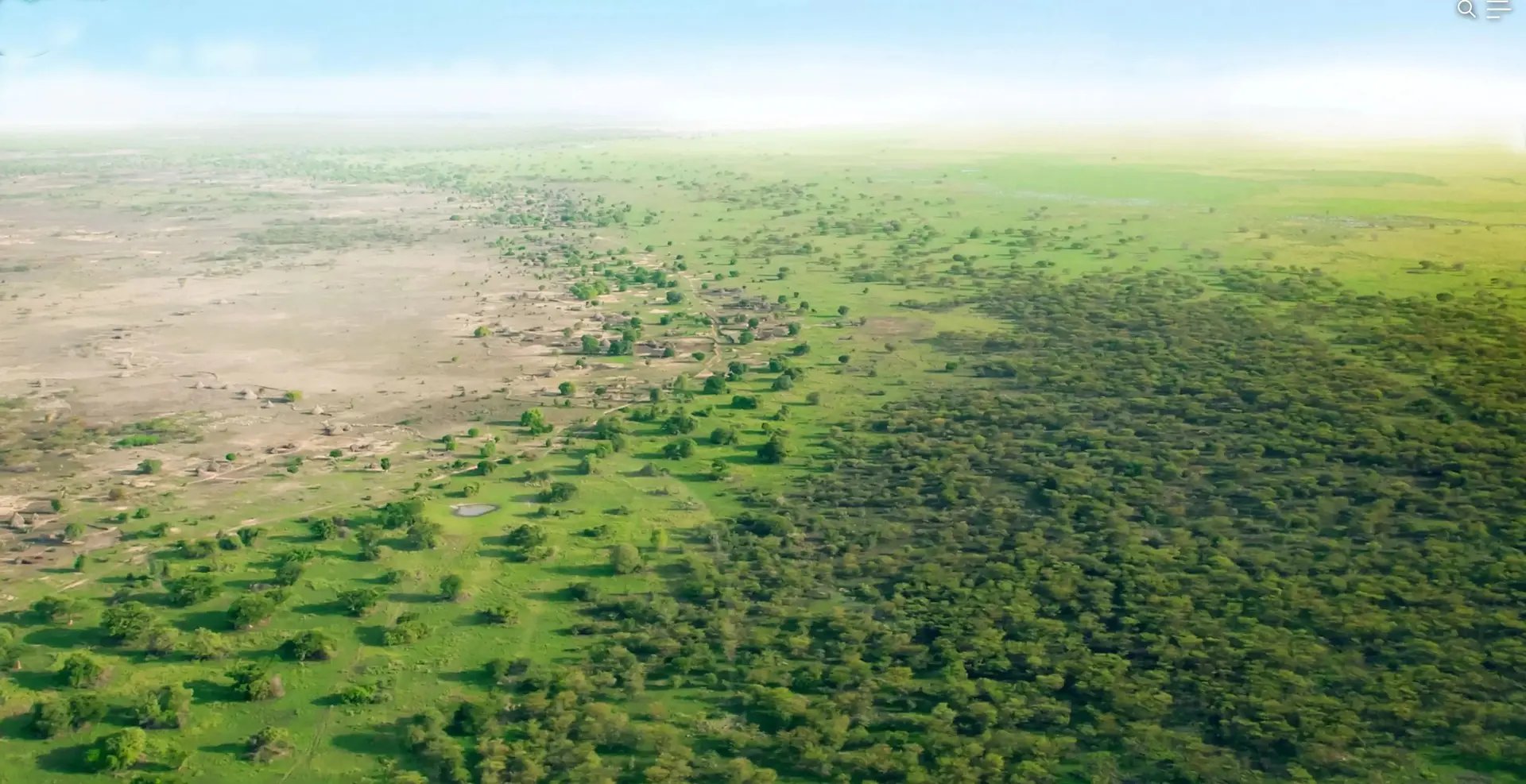 Six Of The Most Inspiring Nature Stories from the Past Five Years