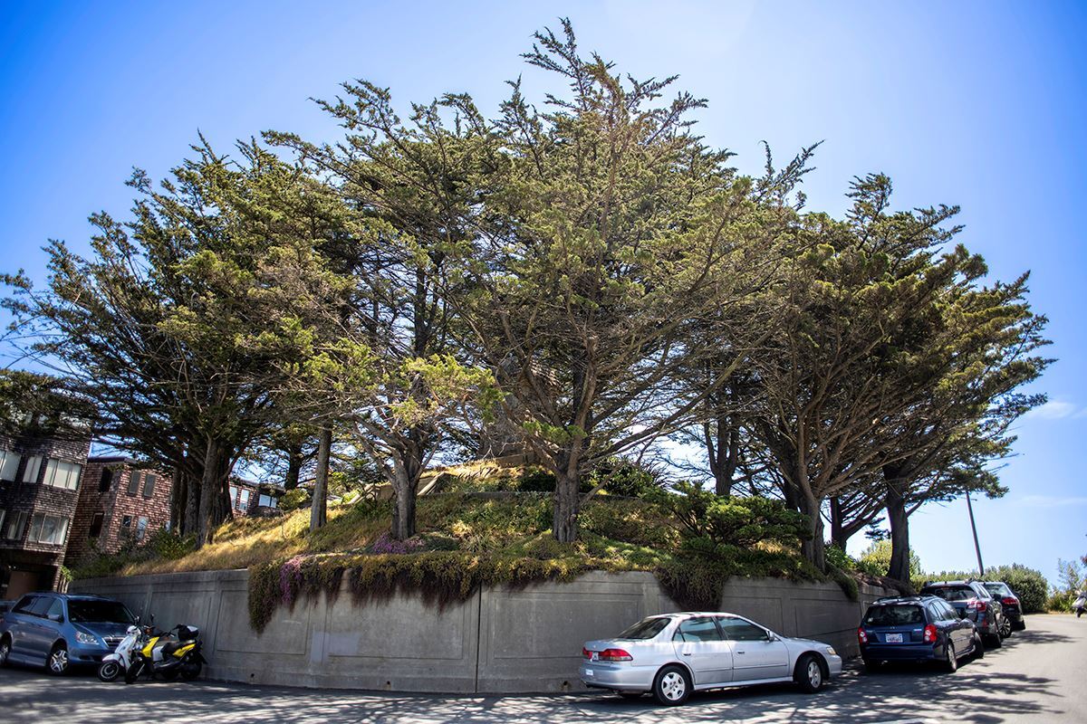 Have Y’all Ever Been to San Francisco’s Mount Olympus?