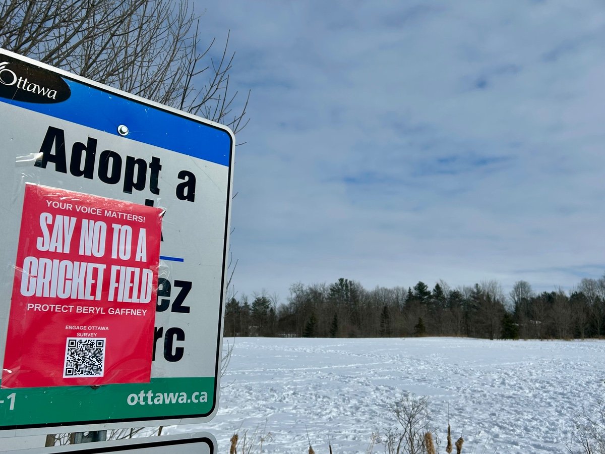 The debate over a cricket pitch in Barrhaven