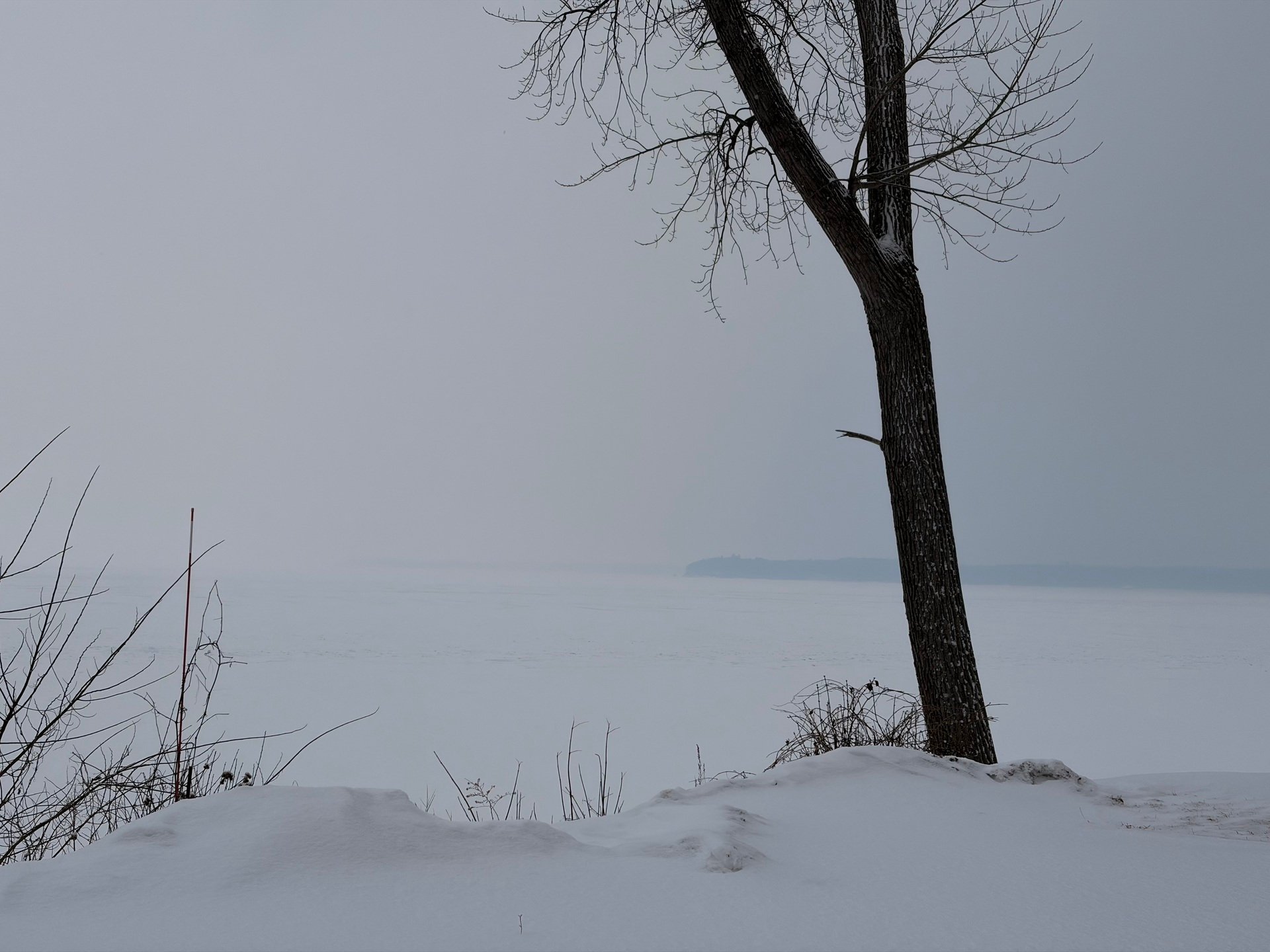 Wednesday, February 11th