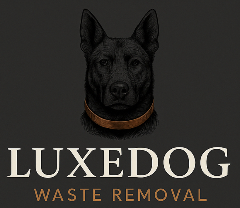 It All Started With Echo