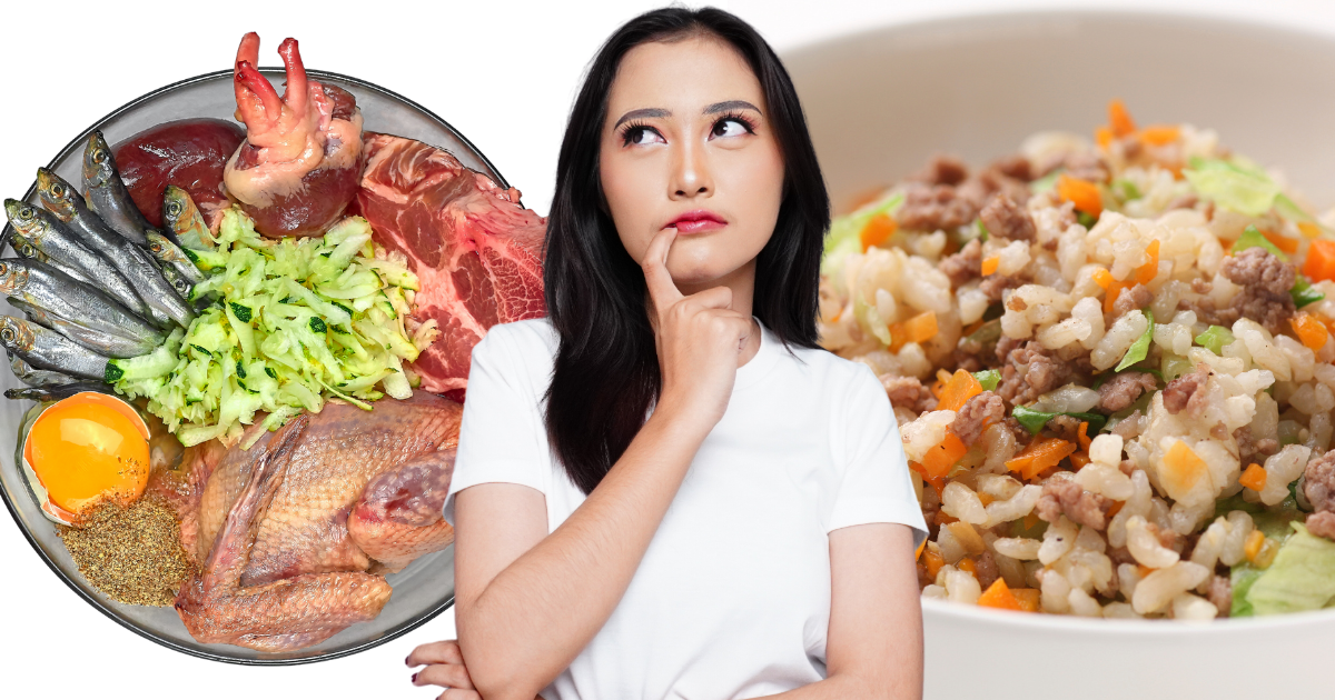 Is Raw Dog Food a Scam?