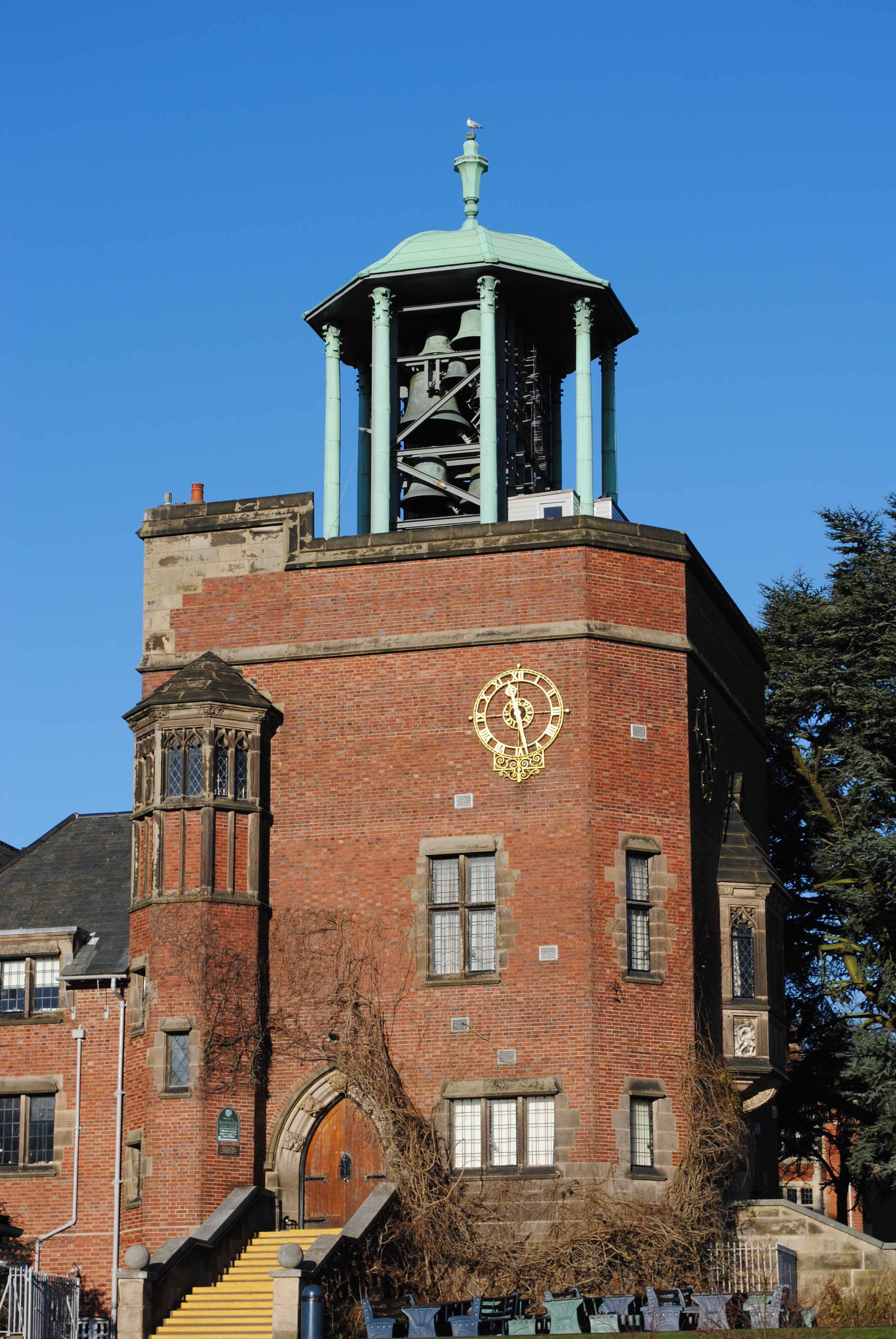 Issue 11 | March 2026