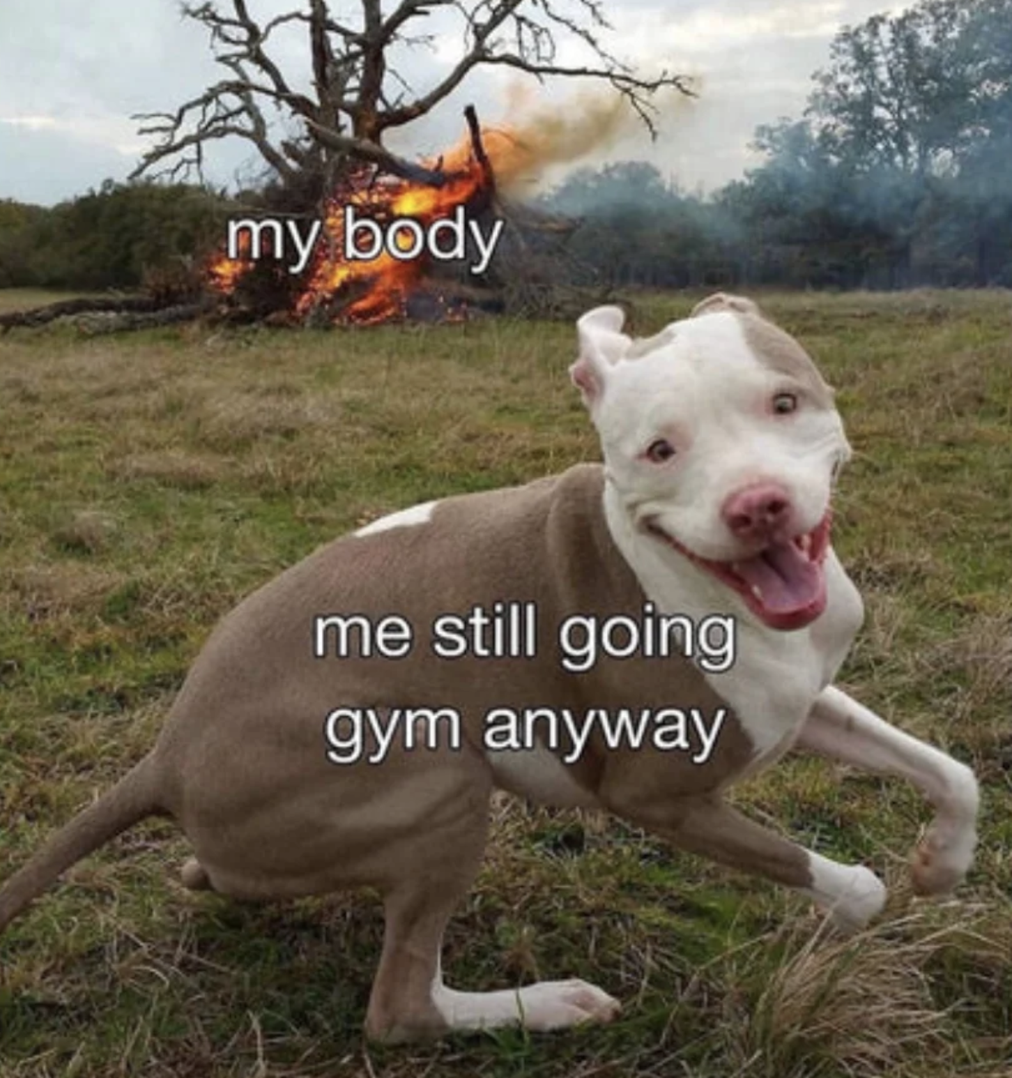 Edition #141 | $500,000 Protein Heist Has Been Resolved