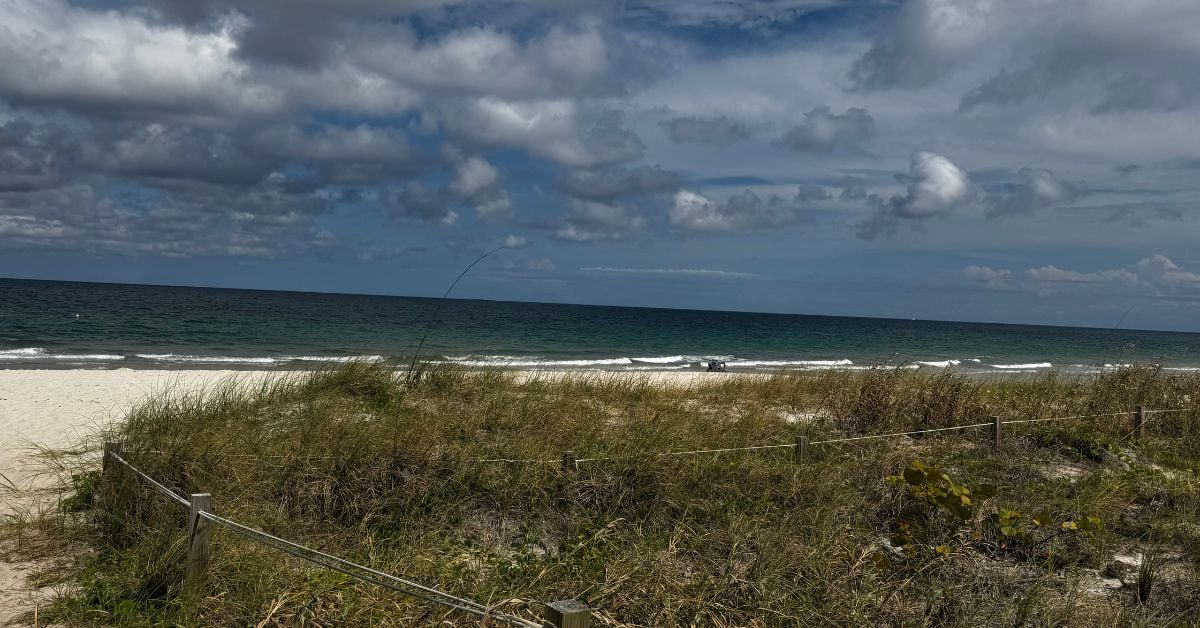 🐟 Bagels, Bingo, and Duran Duran 