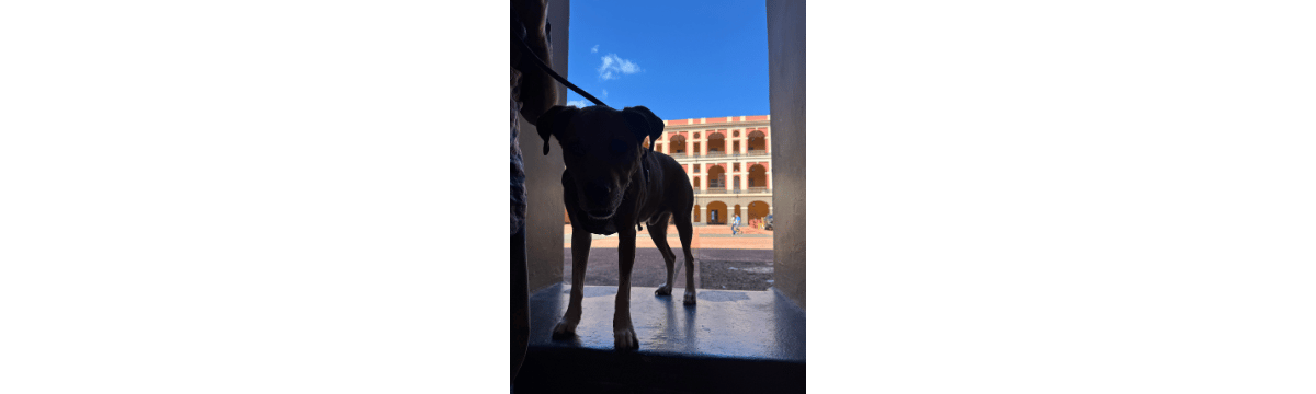 I’m Not Doing So Hot