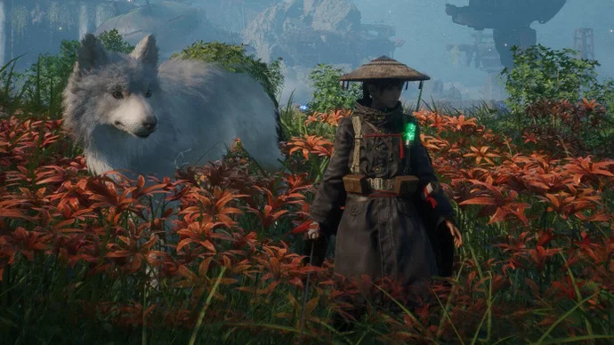 A volver a patear gallinas