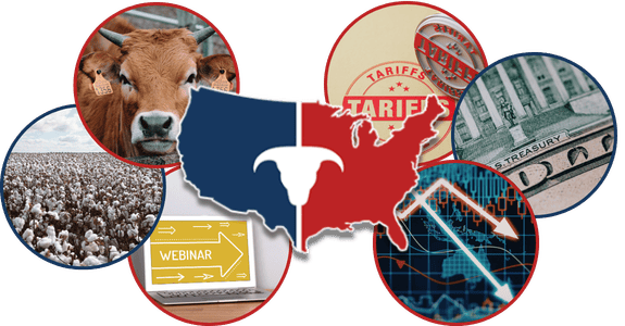 CATTLEUSA DRIVE - Friday, February 27th