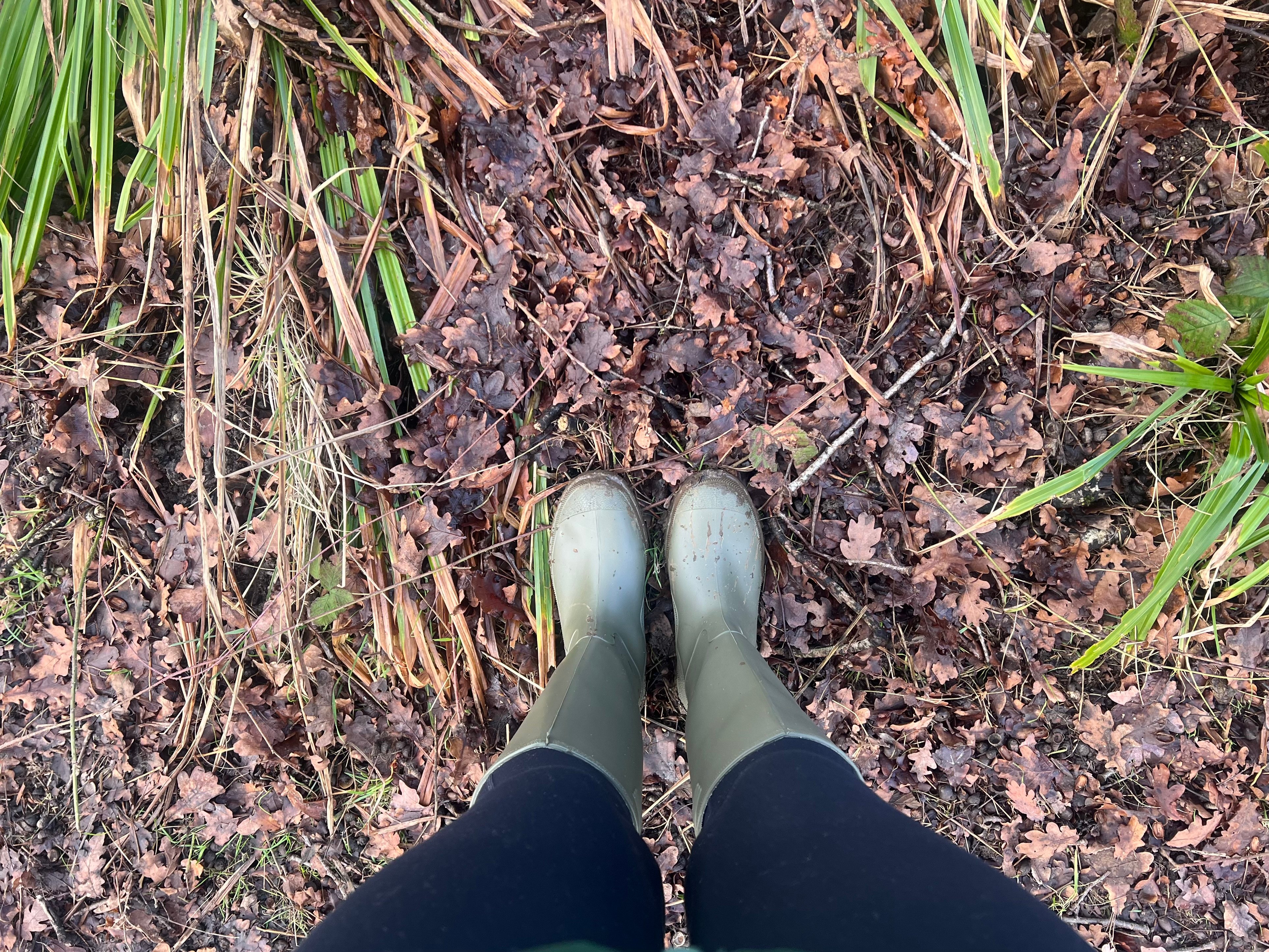 When walking in wellies became a return to myself 