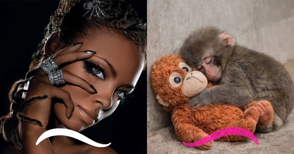 ANTM trauma photo shoots and Punch the baby monkey