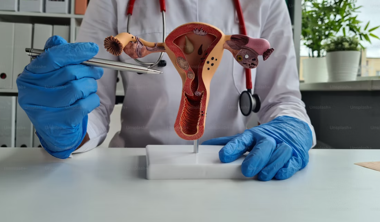 What Organs Are Removed During a Hysterectomy?