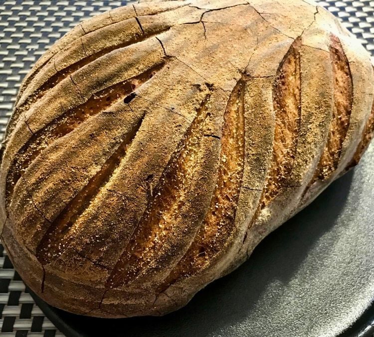 Under the delicious spell of the Black Walnut