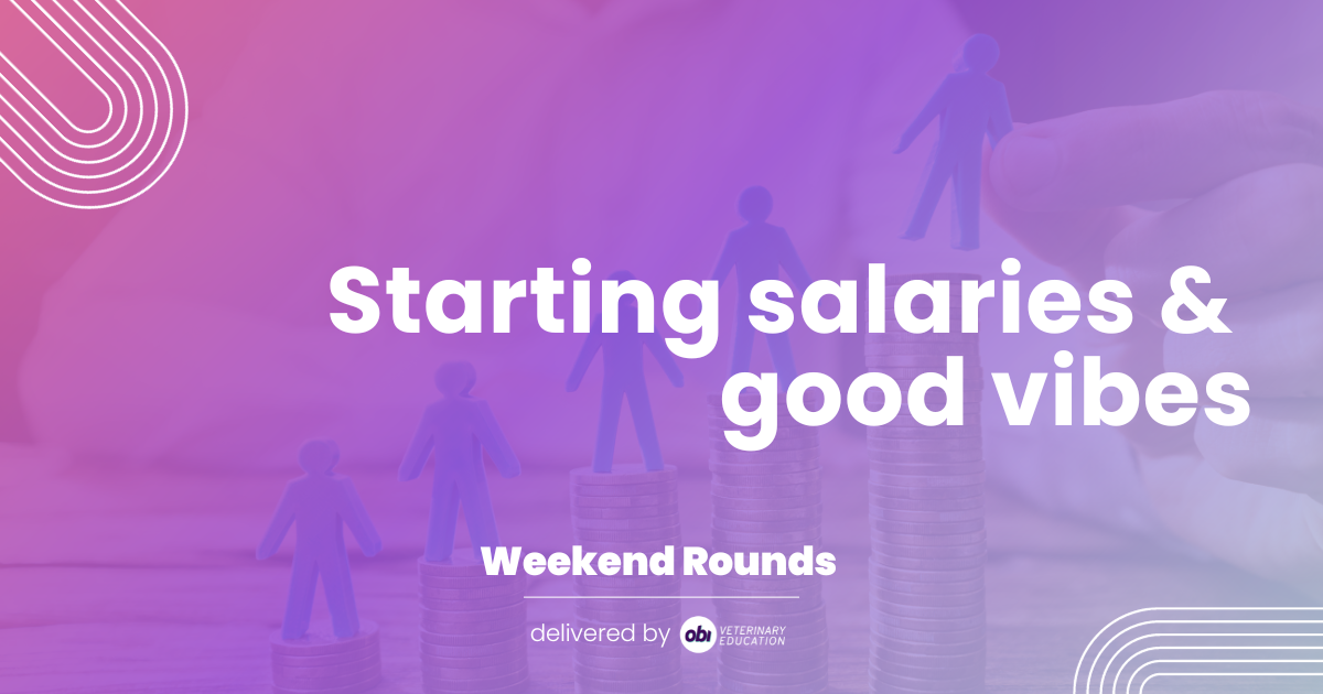 Starting salaries & good vibes