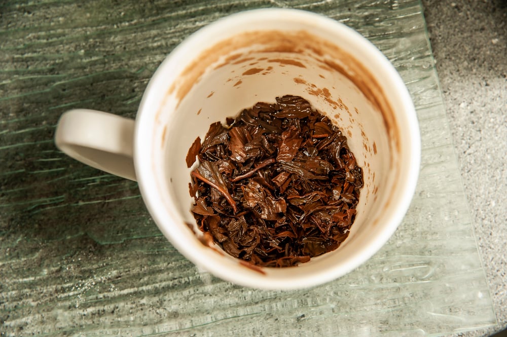 New study affirms using tea waste in your oyster mushroom substrate