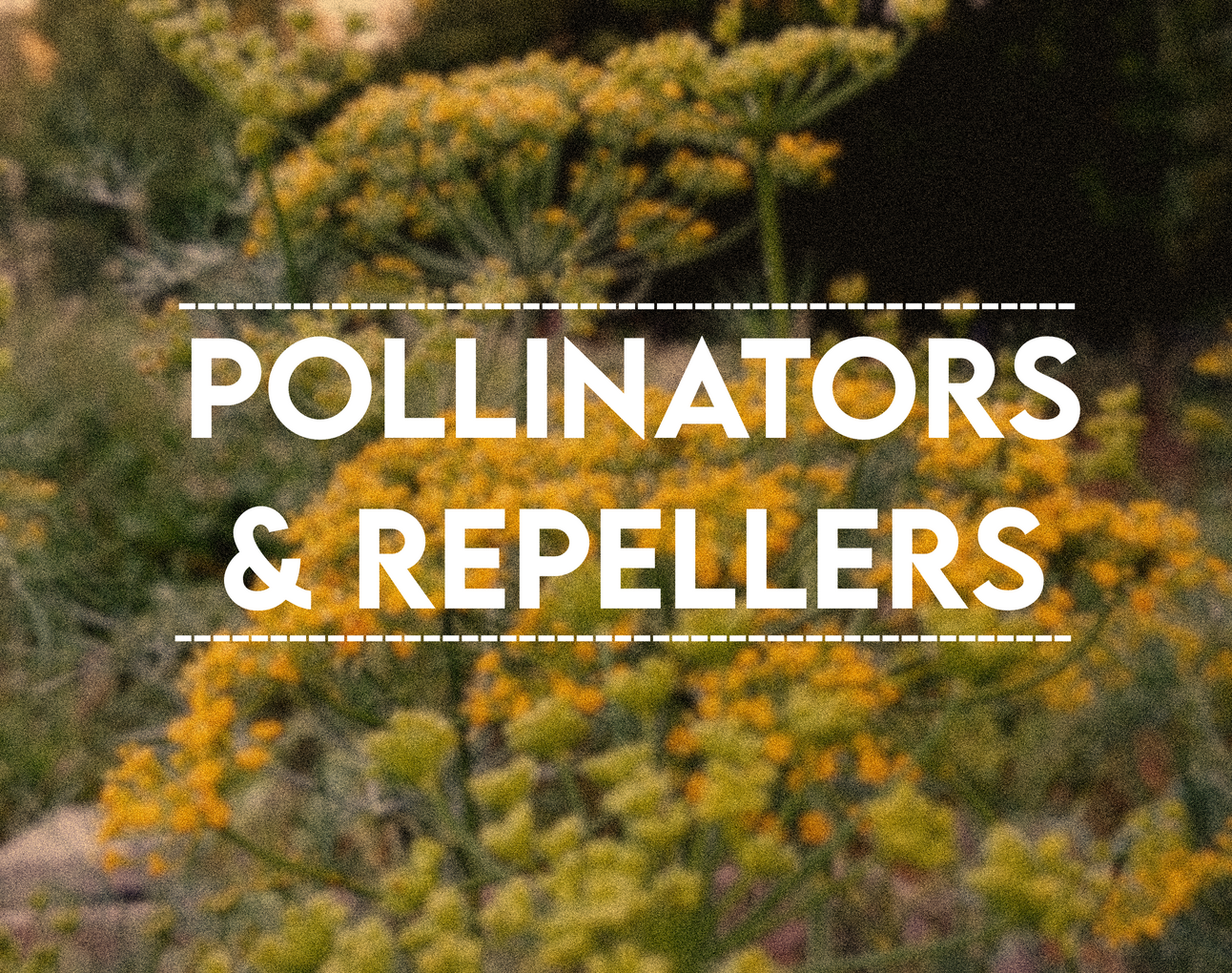 Pollinator Plants and Repellers
