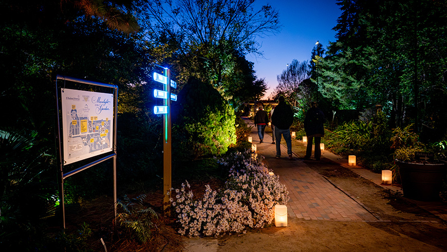 🤝 Community, IRL Events, & Our Discord - November 5th