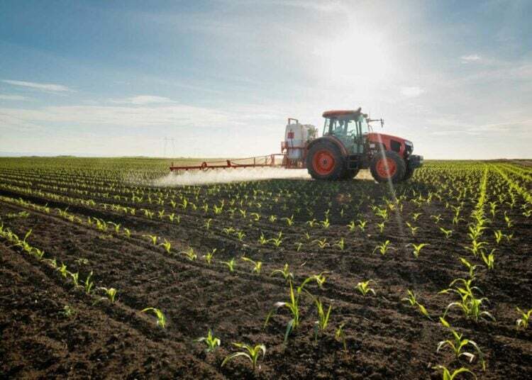 Digital tools boost Nigeria’s rural farms | NowNowNaija
