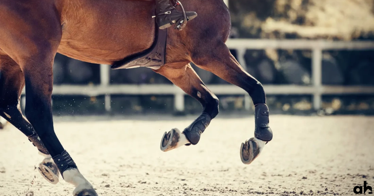 What Are Horse Chestnuts? Let's Take A Closer Look...