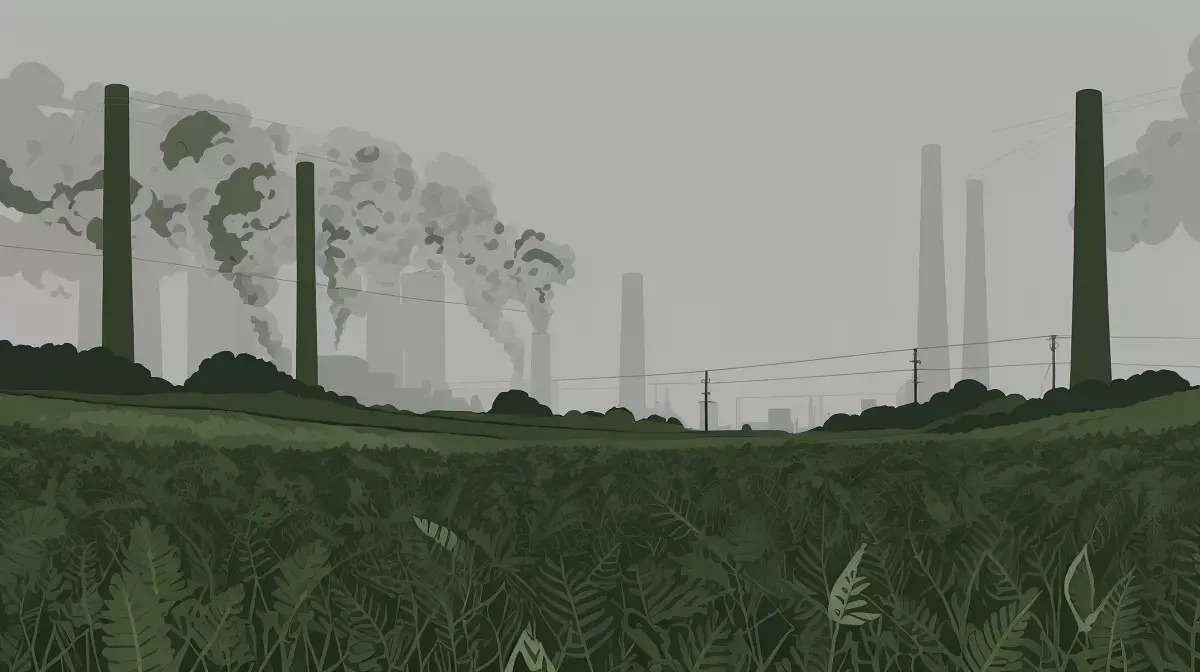 What is Greenwashing?