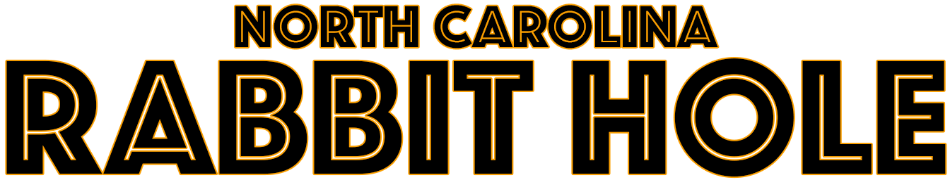 The Last Rabbit Hole EVER (of 2025)