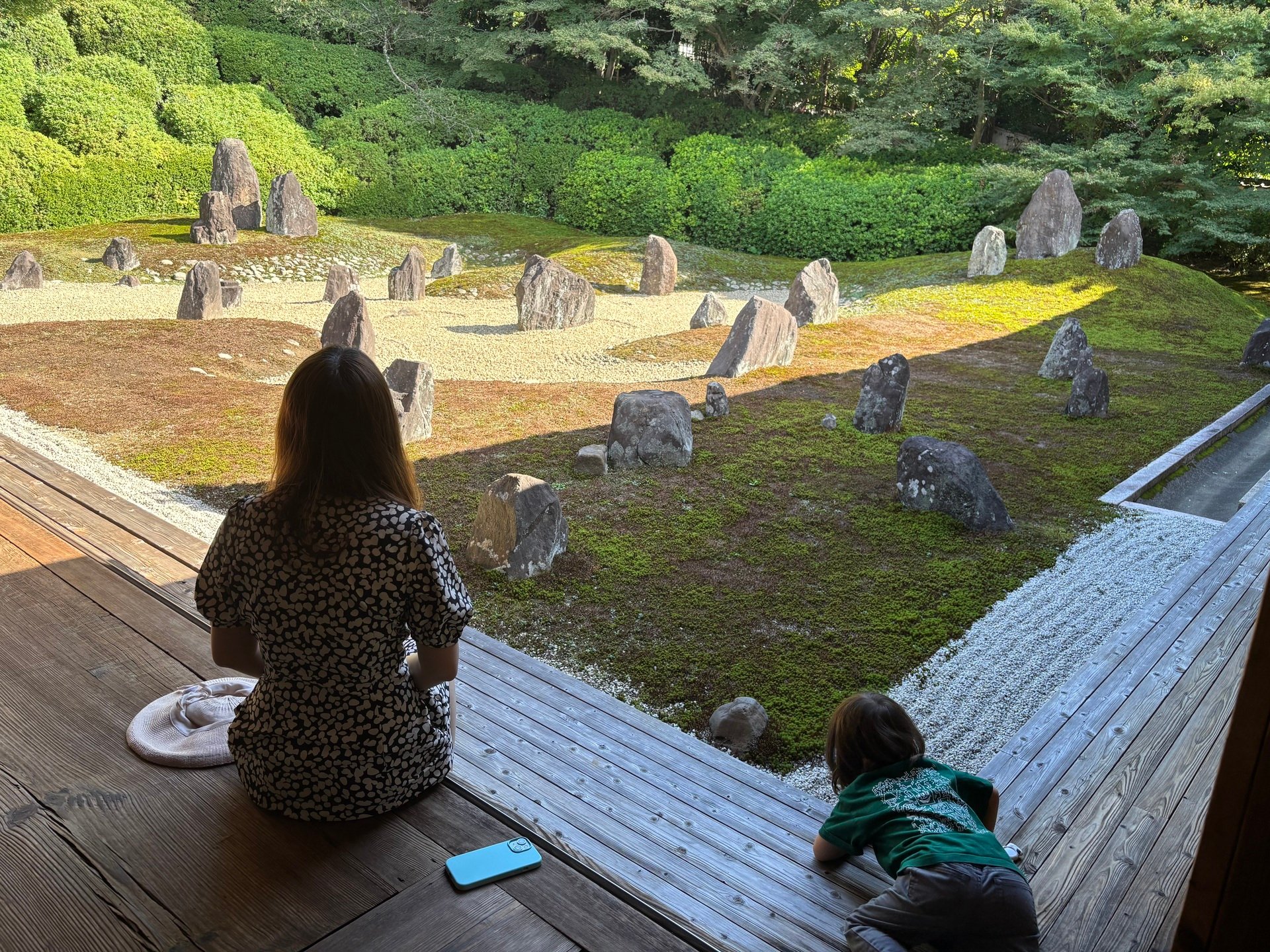 Growing Gray with Gratitude - Meditation over Medication 