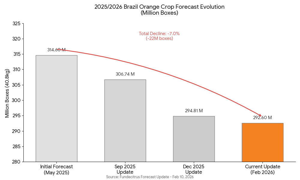 Fundecitrus Orange Crop Forecast Update