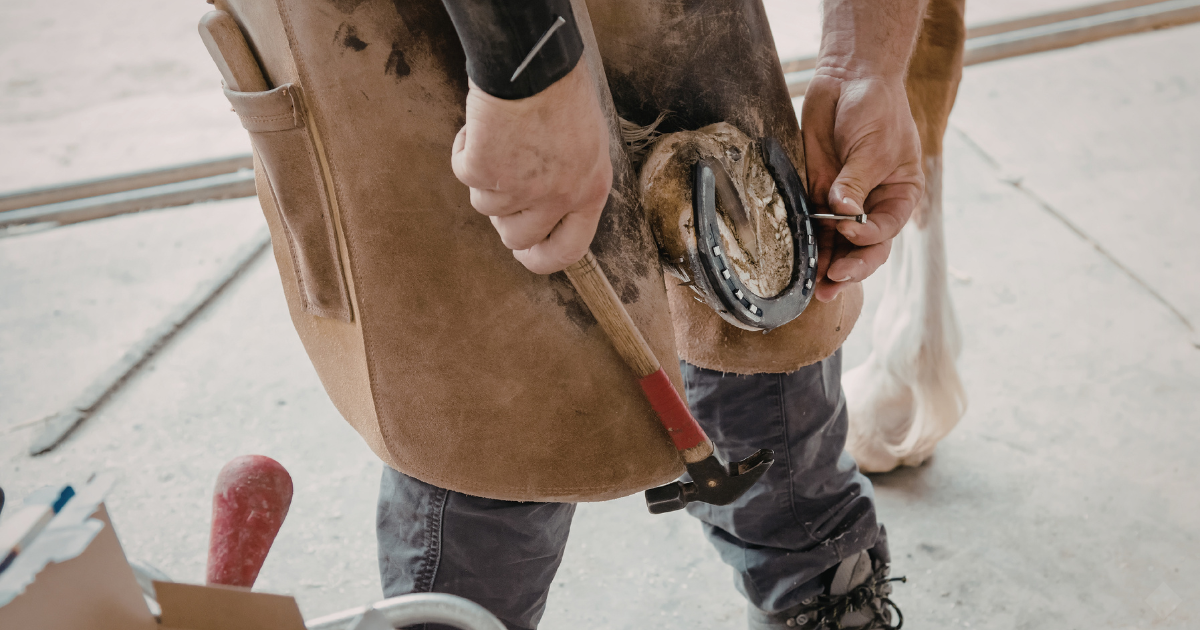 Understanding the Essentials: Why Do Horses Need Shoes?