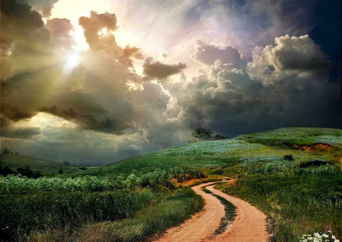 From surviving to thriving