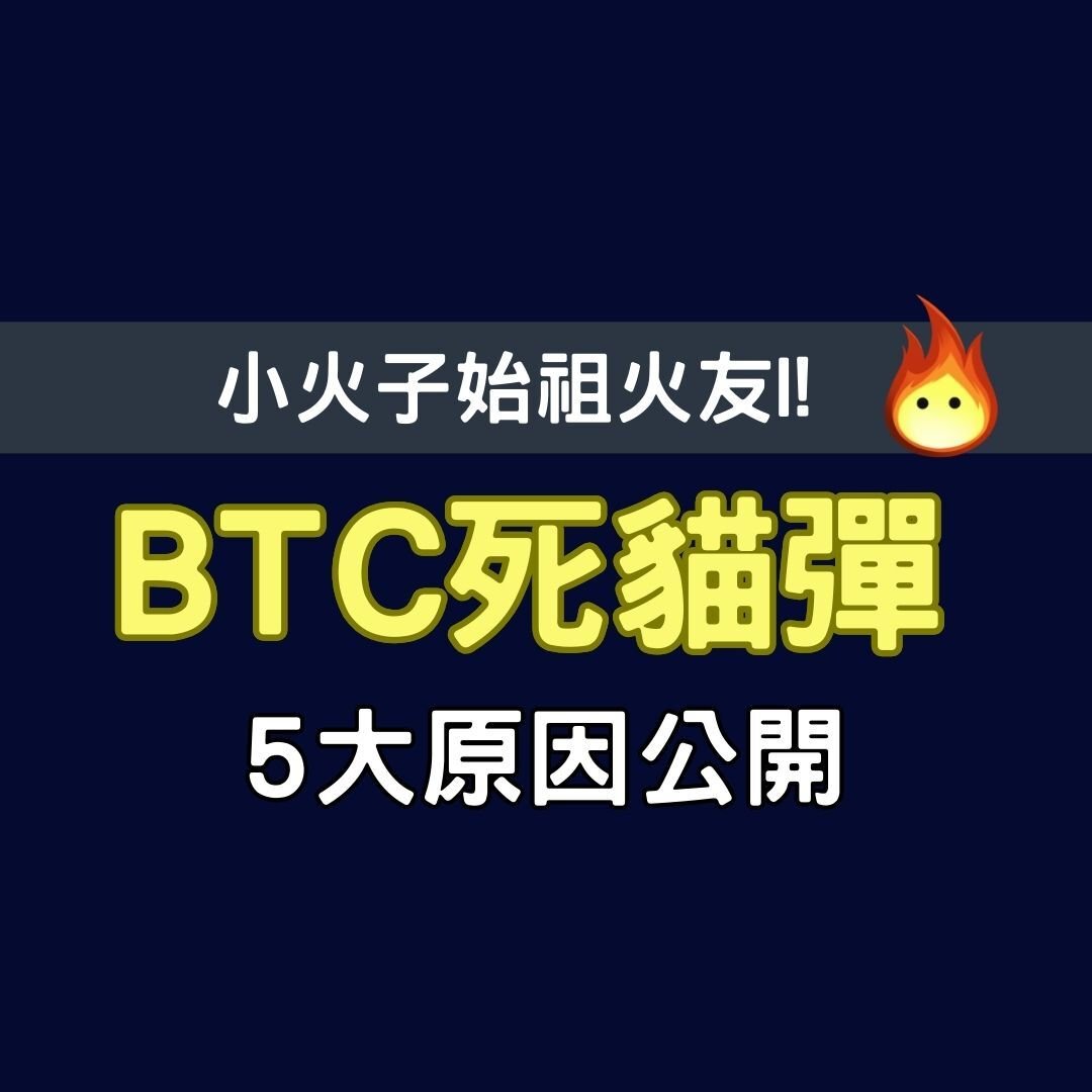 重要內容!BTC🔥逃頂成功!BTC死貓彈 5大原因