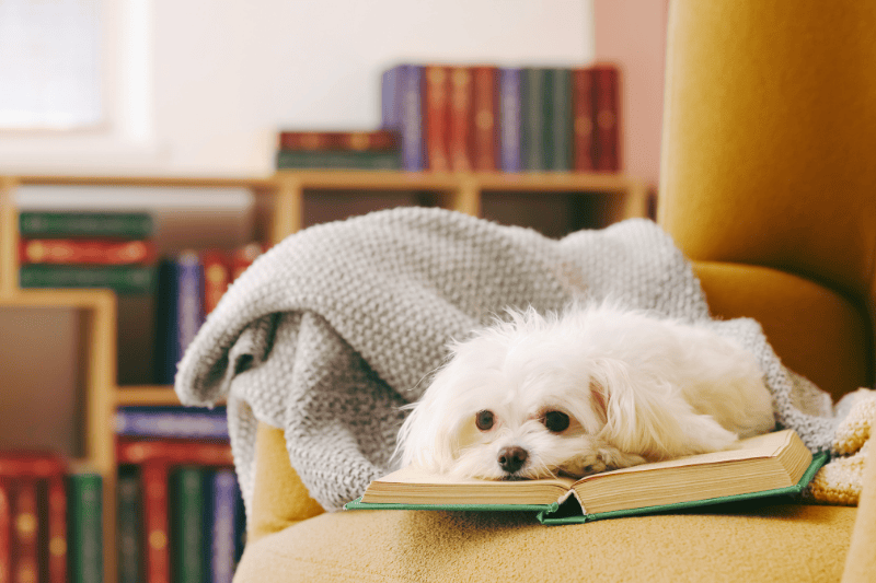 The Good Week | January 29, 2026