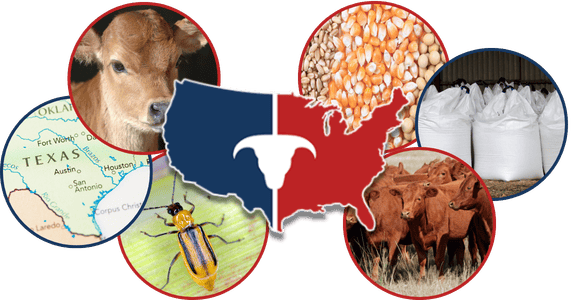 CATTLEUSA DRIVE - Thursday, March 19th