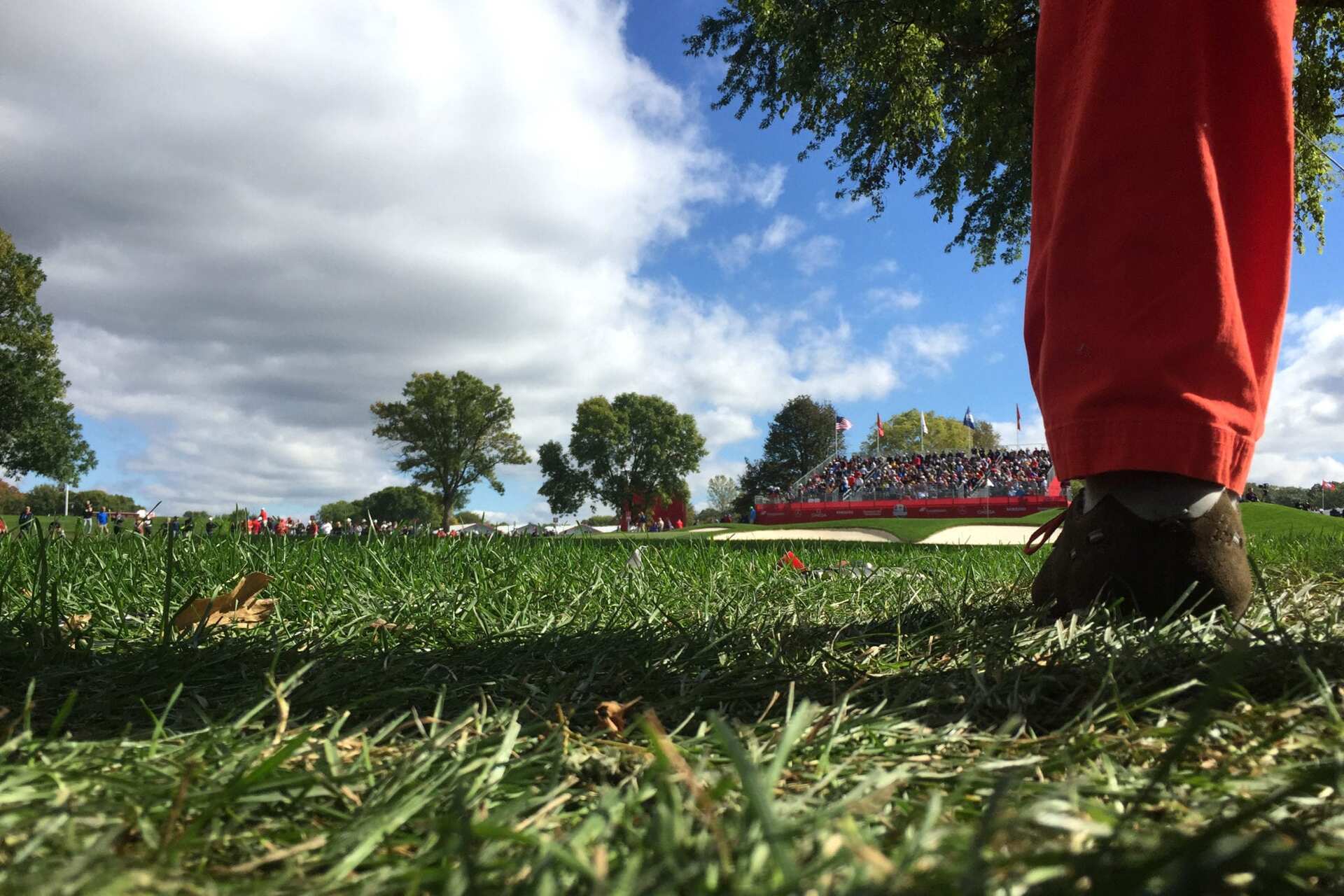 The Ryder Cup You May Not Know