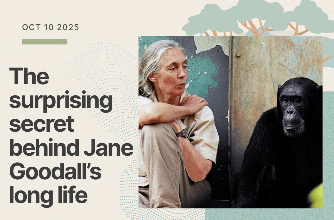 Jane Goodall’s secret to a long life