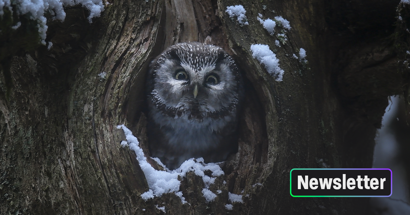 Quand on arrive en ville