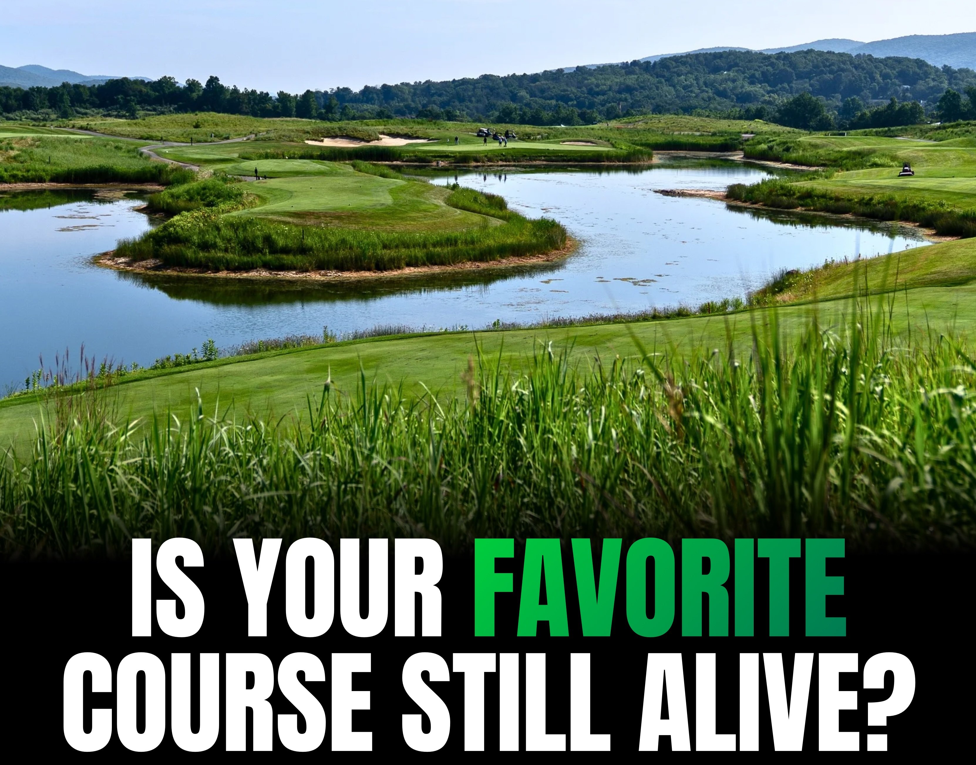 Scotland in the Bronx