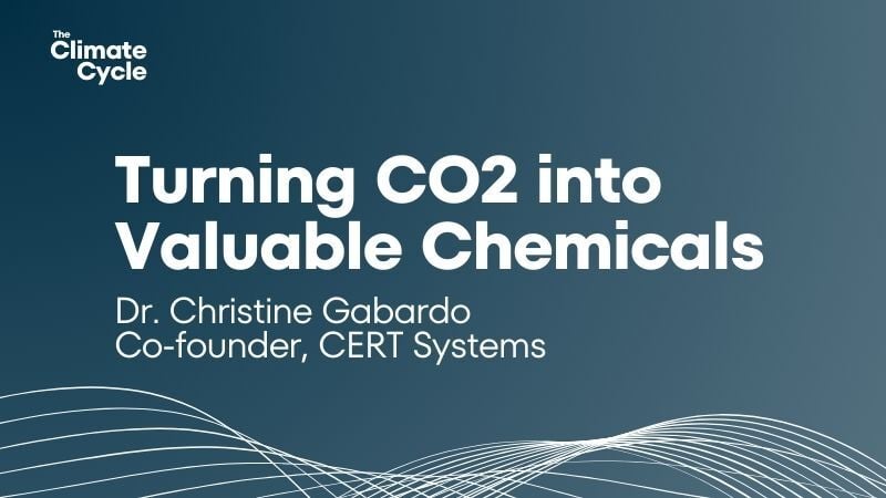 Turning CO2 into high-value chemicals with CERT Systems