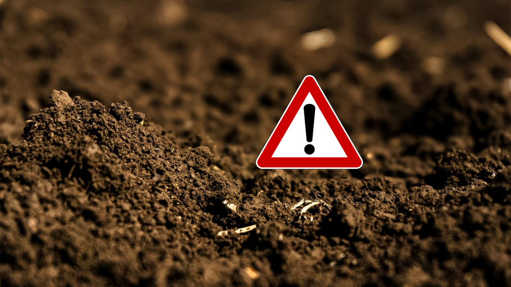 Metais tóxicos: O risco invisível que você não aprendeu a rastrear