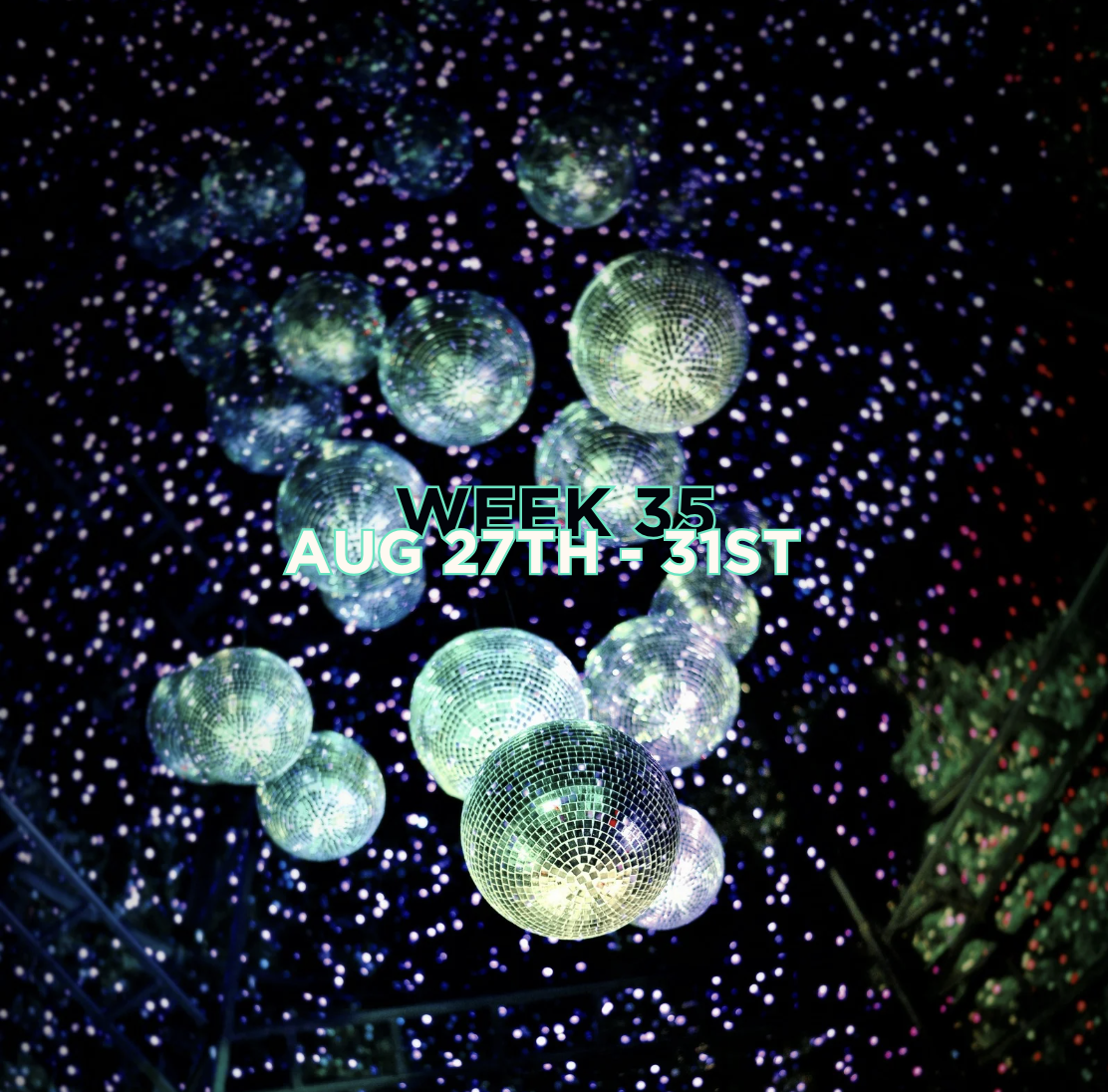 Antwerp Hive - Week 35