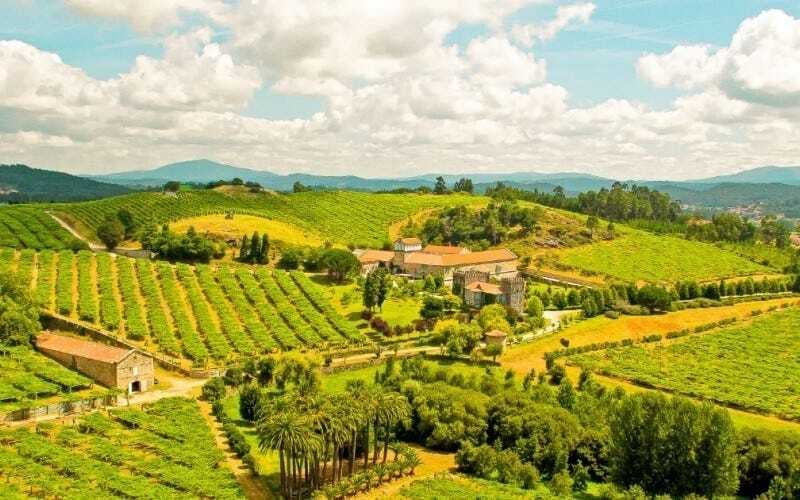Territori vitivinicoli: Rías Baixas (Spagna)