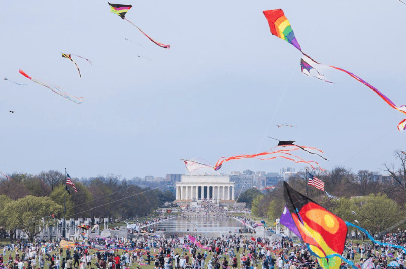 🍹 Drinks & Blooms