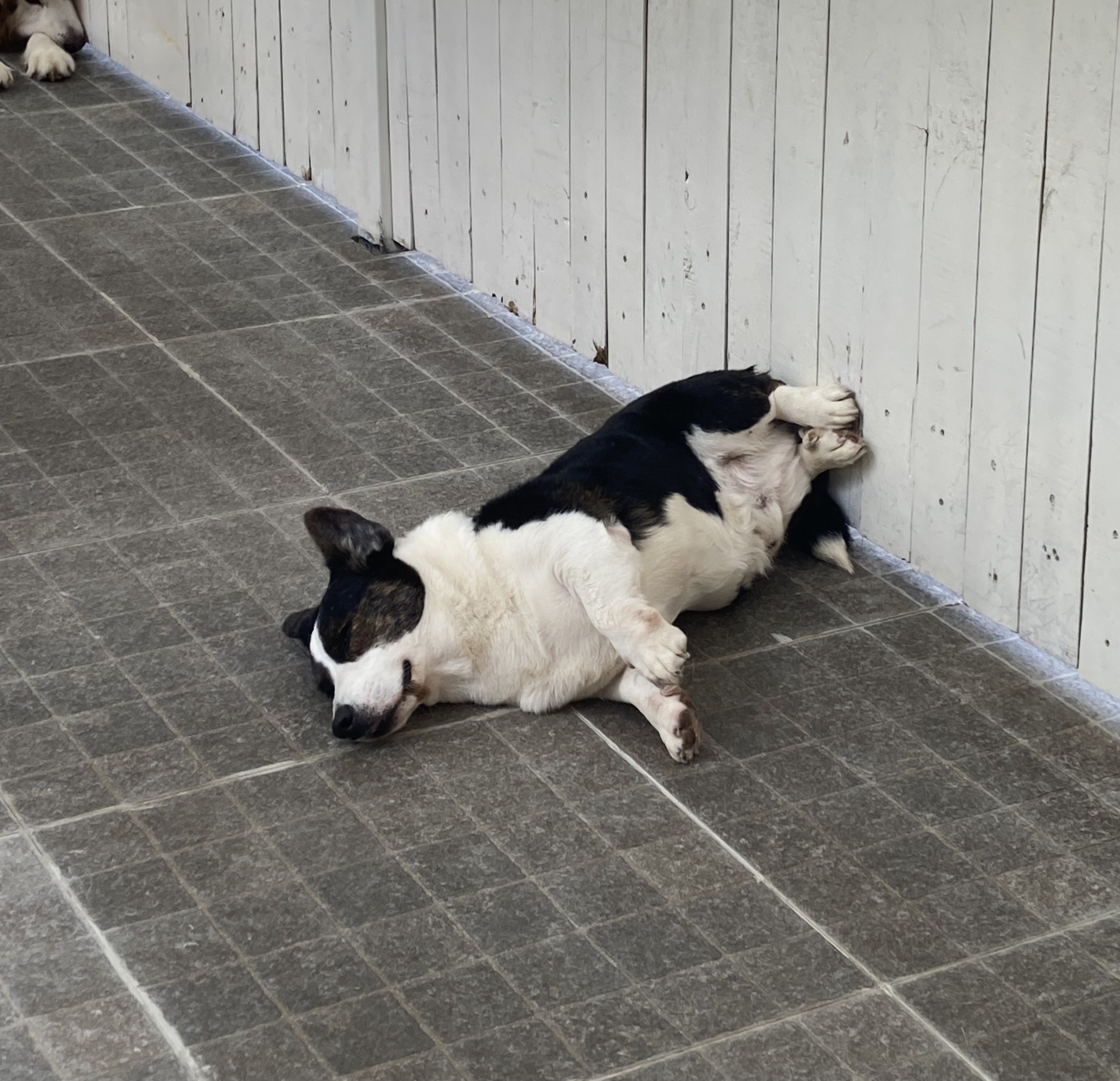 Closing the opening chapter of our journey in Vietnam