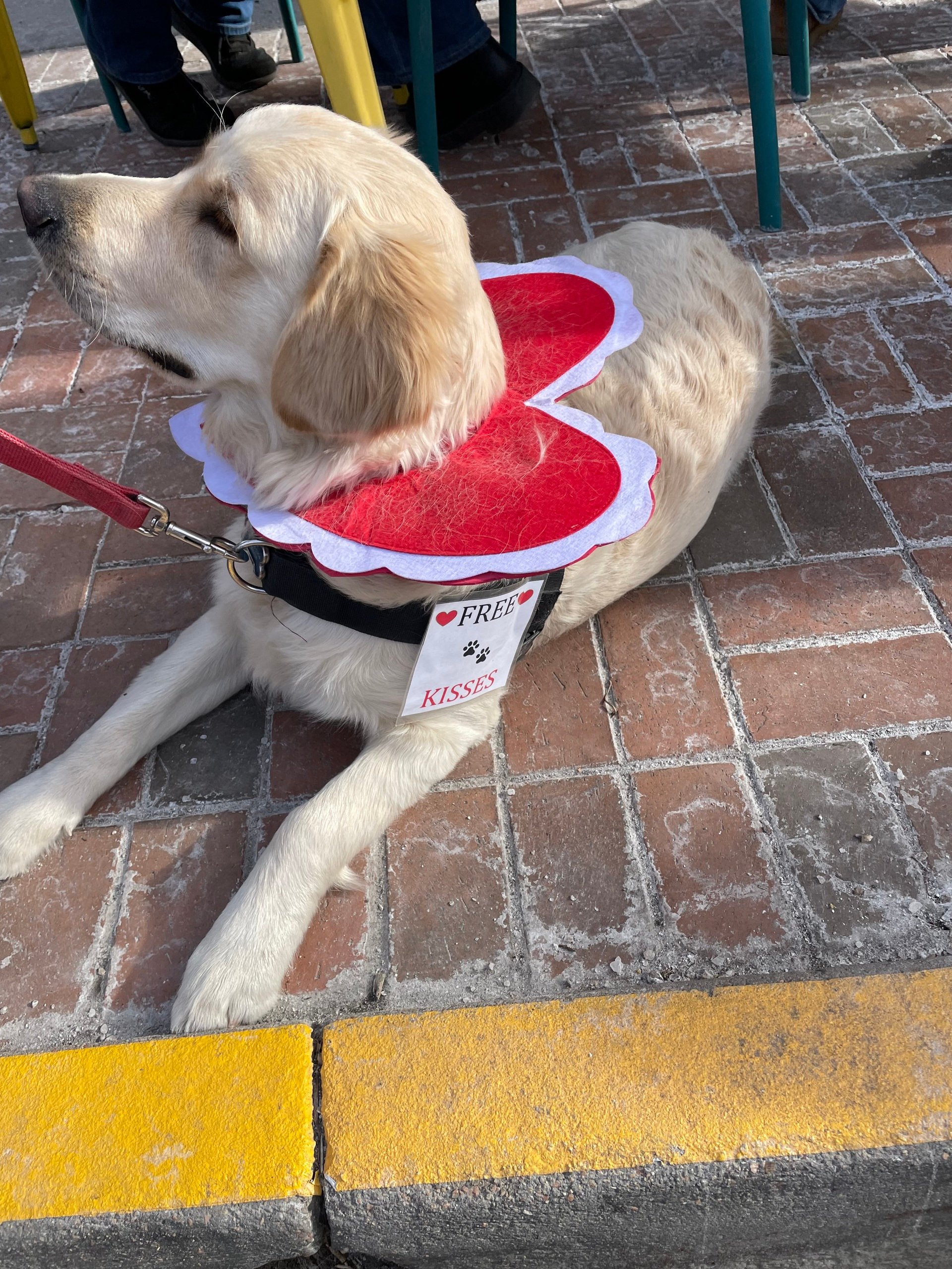 🪿 Valentine's Week