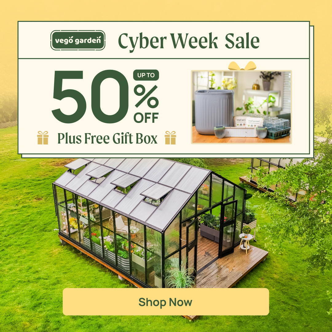 🦋 Cyber Monarch Deals End...⌛️