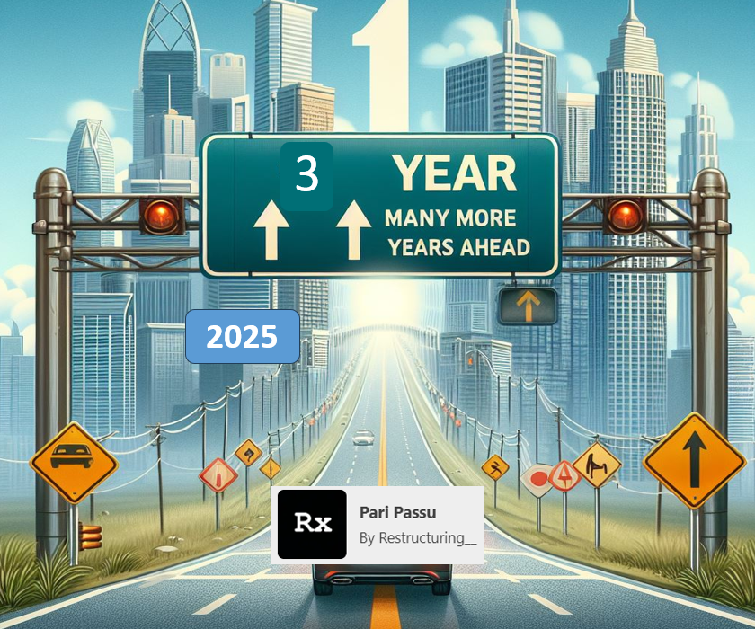 2025 Pari Passu Year-End Letter #3