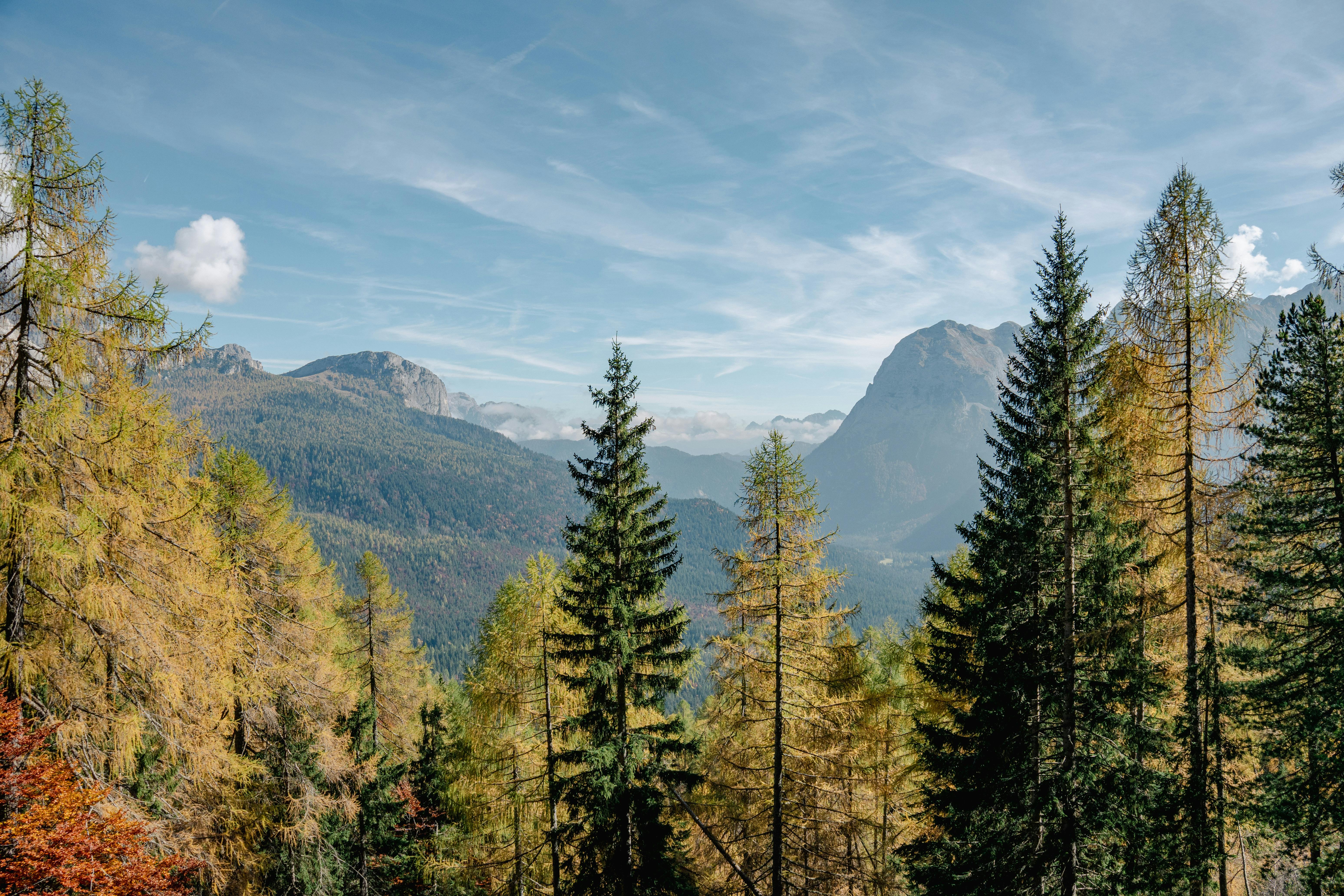 Wednesday, 25 March 2026