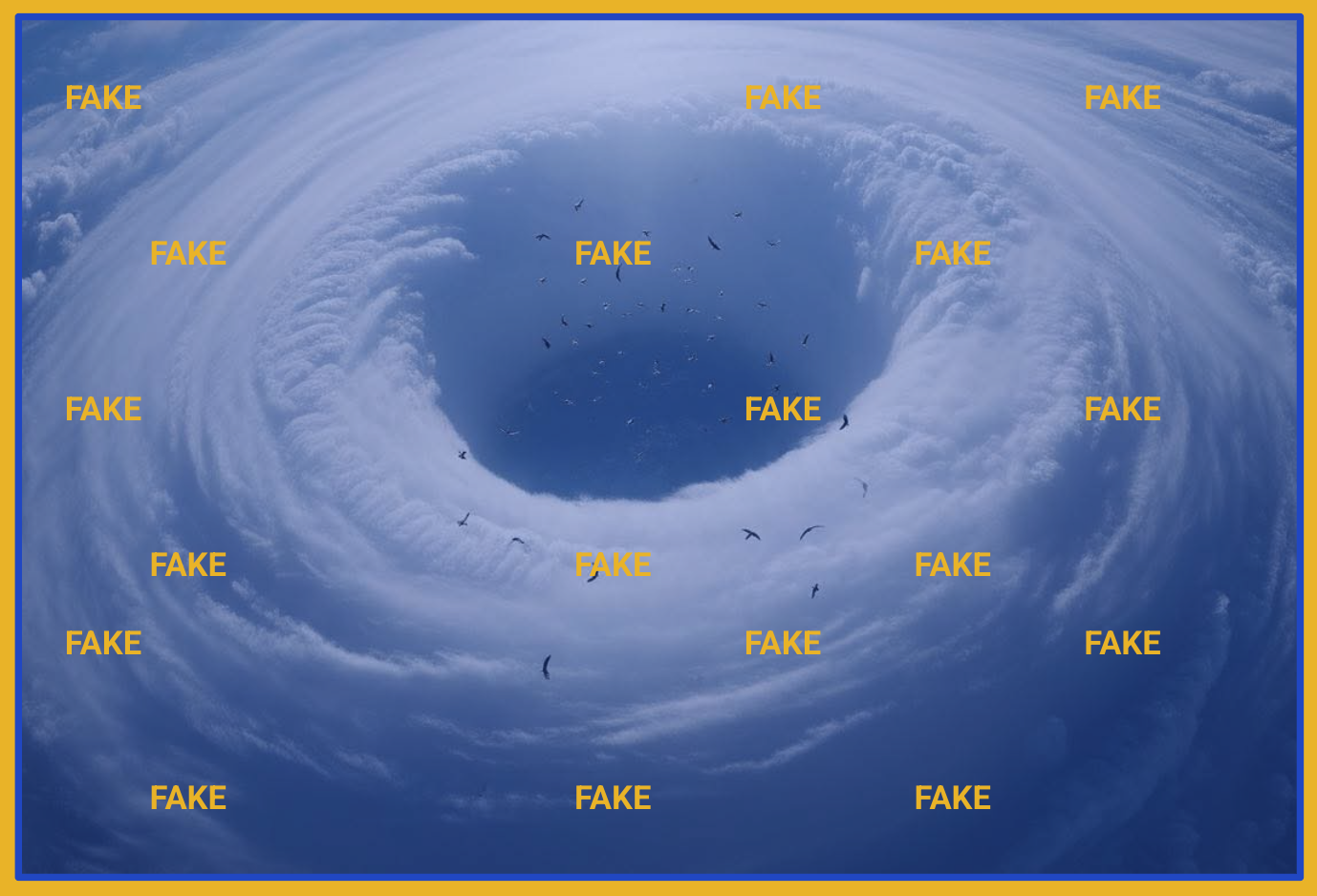 Briefing: Meta's multi-billion dollar scam ad business