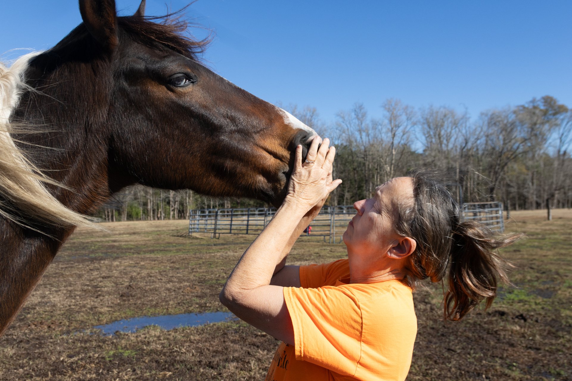 Owning a horse is no walk in the park