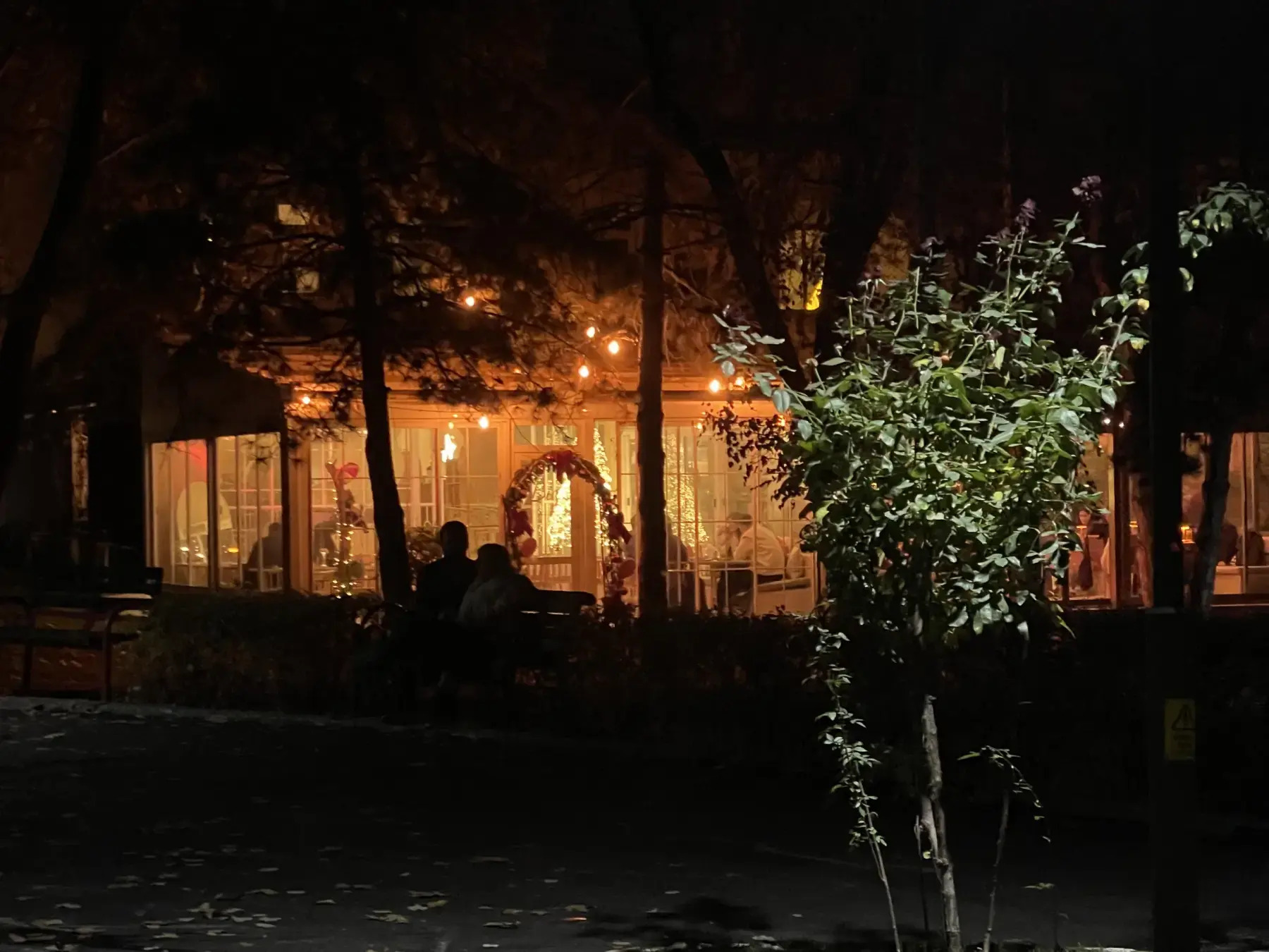 filAnkara #031: 27 Kasım-30 Kasım 2025